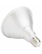 Led PAR30 / PAR38 Light Bulbs